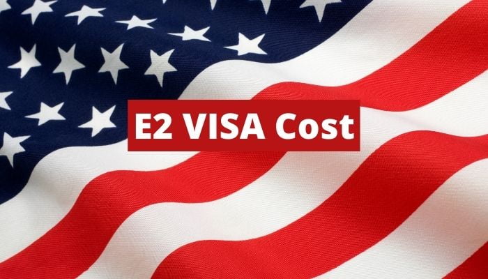 e 2 visa business plan cost