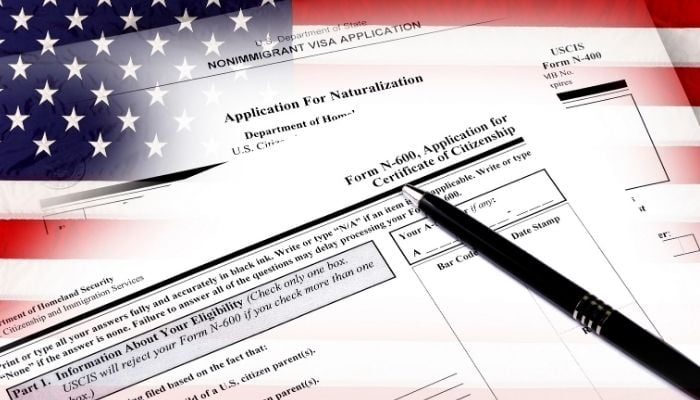 what does an immigration lawyer do